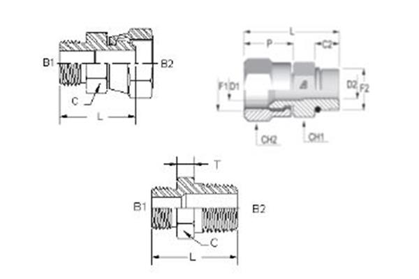 Image - Adapteurs acier inoxydable ORB Alfagomma